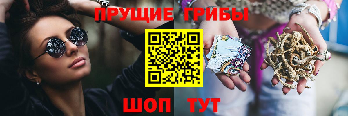Псилоцибиновые грибы мицелий  Вход с VPN  Галлюциногенные грибы Cubensis  Королёв 